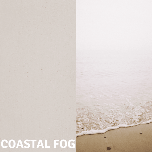 Coastal Fog